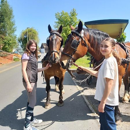 Glamping-Paradies Am Dengler Hof Hohenberg an der Eger エクステリア 写真
