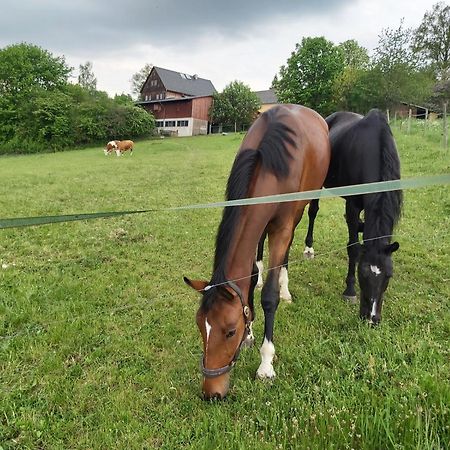 Glamping-Paradies Am Dengler Hof Hohenberg an der Eger エクステリア 写真