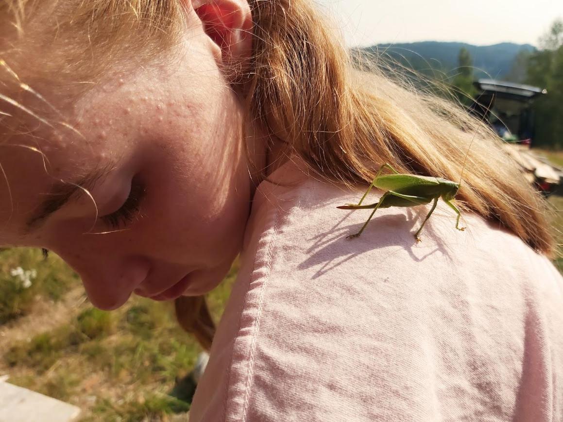 Glamping-Paradies Am Dengler Hof Hohenberg an der Eger エクステリア 写真