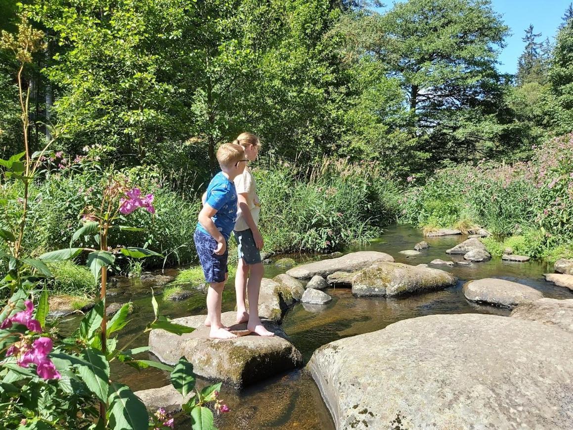 Glamping-Paradies Am Dengler Hof Hohenberg an der Eger エクステリア 写真