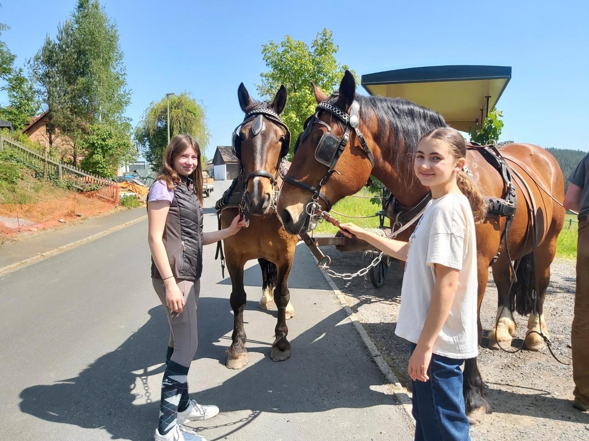 Glamping-Paradies Am Dengler Hof Hohenberg an der Eger エクステリア 写真